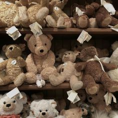 Toys Aesthetic Vintage, Brown Theme Aesthetic, Brown Plushie, Cute Brown Aesthetic, Fluffy Plushies, Plush Shelf, Brown Aura, Teddy Bear Aesthetic, Heaven Aesthetic