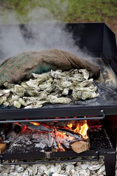 Secrets to a Southern Oyster Roast – Garden & Gun Oysters At Home, Lowcountry Style, Smelly Dog, Oyster Knife, Oyster Recipes, Oyster Crackers, Fresh Oysters