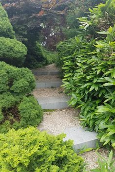 stone and gravel steps, surrounded by green trees,  lead up a small hill Find Your Way