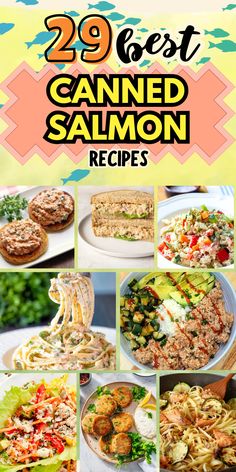 the best canned salmon recipes for dinner, lunch and desserts with text overlay that reads 29 best canned salmon salmon recipes