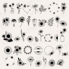 sunflowers and other flowers are drawn in black ink