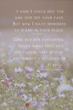 a field full of flowers with a quote from the author, i wish i could hug you and just see your face but now i have memories to stand in your place