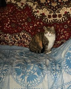 a cat sitting on top of a bed covered in blue and white sheets with an intricate pattern