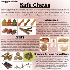 an info sheet describing the benefits of safe chews