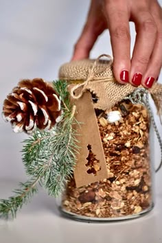 a woman's hand reaching into a jar filled with granola and pine cones