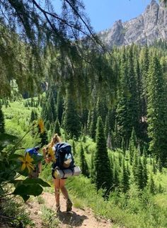 two people hiking in the mountains with backpacks on their back and trees behind them