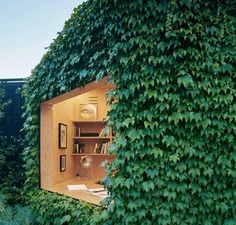 an open book shelf sitting in the middle of a lush green wall covered with leaves