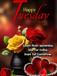 happy tuesday message with roses and hearts