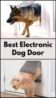 the best electronic dog door for any type of house or home, and it's easy to use