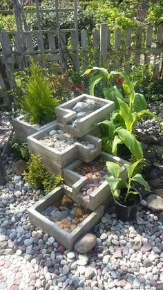 a garden with rocks and plants in it