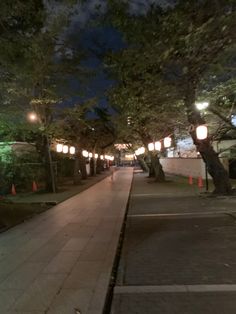 the street is lined with lights and trees