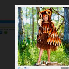 Owl Costume Kids, Owl Costumes, Costumes For Toddlers, Owl Halloween Costumes, Lion King Costume, Owl Halloween, Owl Girl, Costume For Girls