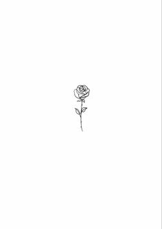 a black and white drawing of a single rose