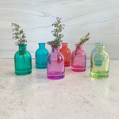 several different colored vases with flowers in them on a counter top next to each other