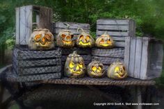 there are pumpkins that have been carved to look like faces