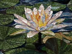 a large white flower sitting on top of a green leaf covered waterlily pond