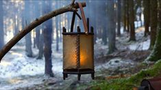 a lantern hanging from a tree branch in the middle of a forest with snow on the ground