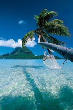 a hammock hanging from a palm tree in the ocean