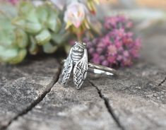 Cicada Ring details:-Solid .925 sterling silver-Cicada measures approx. 22x12mm-Ring band measures 1.2mm wide-Comfortable and easily stackable!-Available in US sizes 5-9 with half sizes. Connect with us on Instagram @a_wild_violet for sales and giveaways!**All items are in stock and ship within 2-5 business days from received payment (excluding Saturday/Sunday) from the US. If you are within the US please expect 3-7 business days for shipping transit and delivery. International orders please exp Cicada Ring, Saturday Sunday, Ring Band, Shop Earrings, Ring Sets, Band Rings, Silver Ring, Holiday Season, Violet