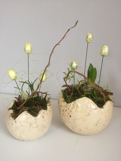 two white vases with plants in them on a table