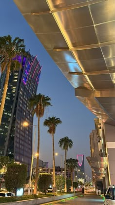 palm trees line the street in front of tall buildings