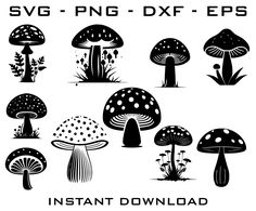 black and white mushrooms with different types of plants in the middle, on a white background