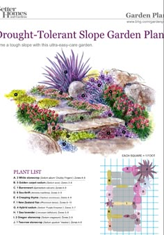 the brochure shows an image of a garden plan