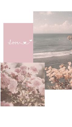 pink flowers are in the foreground, and an ocean is in the background with white writing on it