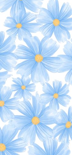 blue daisies on a white background with yellow centers are the focal point for this image