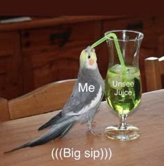 a bird sitting on top of a wooden table next to a glass filled with liquid