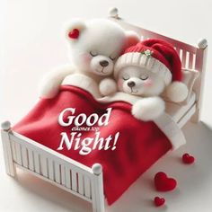 two white teddy bears hugging under a red blanket with hearts, with goodnight wishes. Bears Cuddling, Good Night For Him, Evening Pictures, Red Blanket, Dream Night, Night Greetings, Good Night Greetings, Good Afternoon, Good Evening