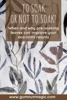 a poster with the words to soak or not to soak? when and why pre - soaking leaves can improve your eco - print results