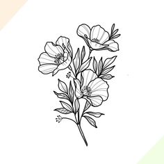 three flowers are shown in black and white on a light colored background, with the outline of