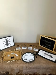 the table is set up with pictures and other items for making something to look like an insect