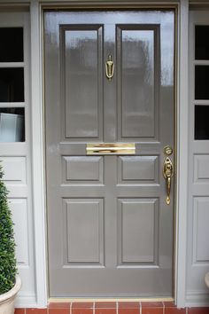 a gray door with two potted plants on either side