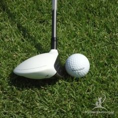 a golf ball and driver on the grass