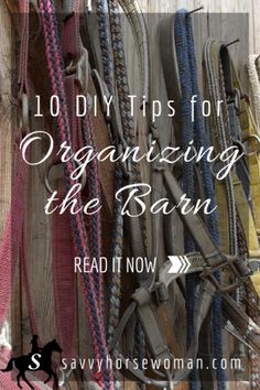 there are many different types of horse bridles hanging on the wall with text overlay that reads 10 diy tips for organizing the barn read it now