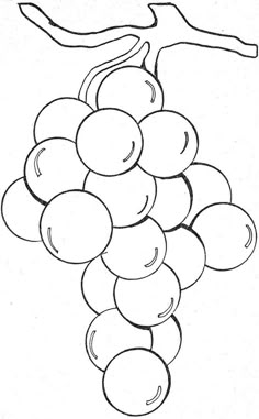 a bunch of grapes hanging from a vine with leaves on the top and bottom, in black and white