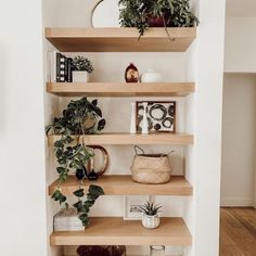 the shelves are filled with plants and other things to put on them for display in the living room