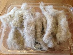 several pieces of wool are in a plastic container