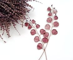 dried flowers and stems on a white surface