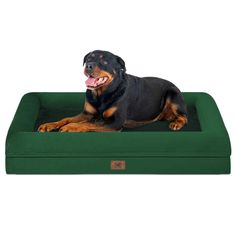 a large black and brown dog laying on top of a green bed with its tongue hanging out