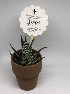 a small potted plant with a sign in it