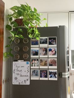 a refrigerator covered in magnets and photos next to a potted plant on top of a counter