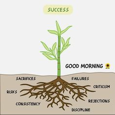 a plant with the words success and good morning above it