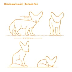 an orange line drawing of a fox and its baby