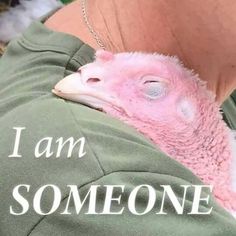 an ostrich that is laying down in someone's lap with the caption i am someone