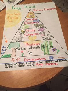 a poster on a table with words about food and plants in the pyramid, which are labeled