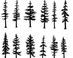 the silhouettes of different trees on a white background