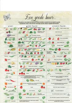 a poster with different types of vegetables and their names in french, including tomatoes, broccoli, carrots, celery, lettuce